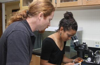 Dr. James Newcomb, Professor of Biology and Health Science and Co-Director of the Center for Undergraduate Science Research at New England College, works alongside a student in the College’s Summer Undergraduate Research Program.